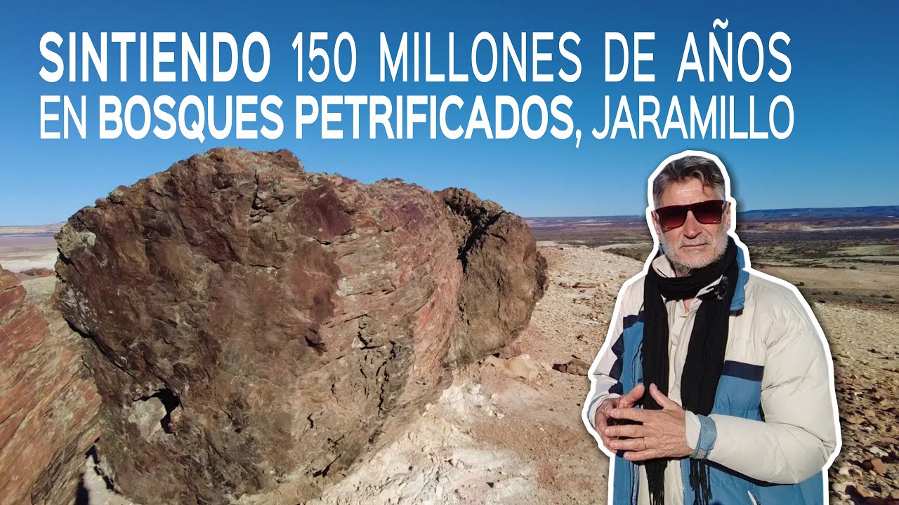 SINTIENDO 150 Millones de años en BOSQUES PETRIFICADOS, JARAMILLO | SANTA CRUZ | PATAGONIA ARGENTINA