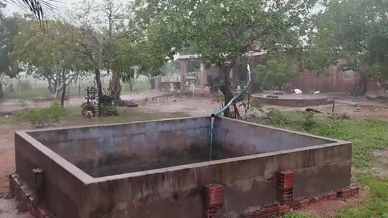 Olha que chuva maravilhosa