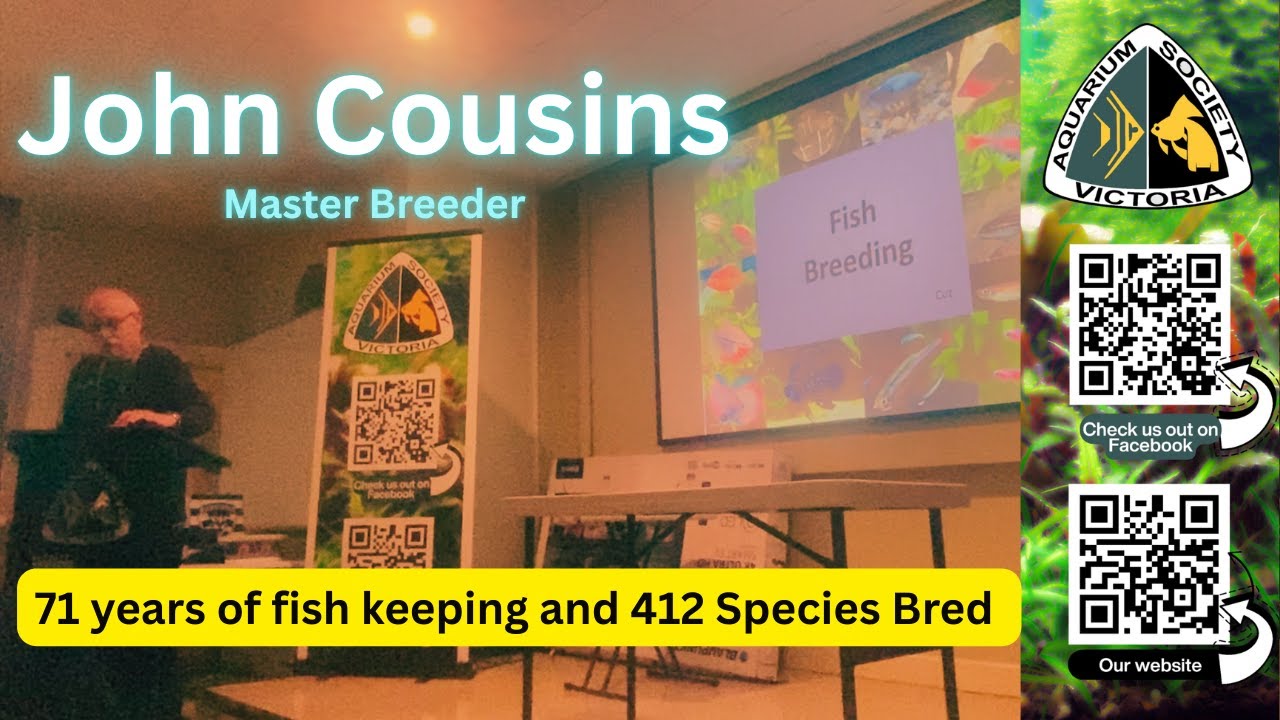 John Cousins, Breeding fish presentation Aquarium Society of Victoria.