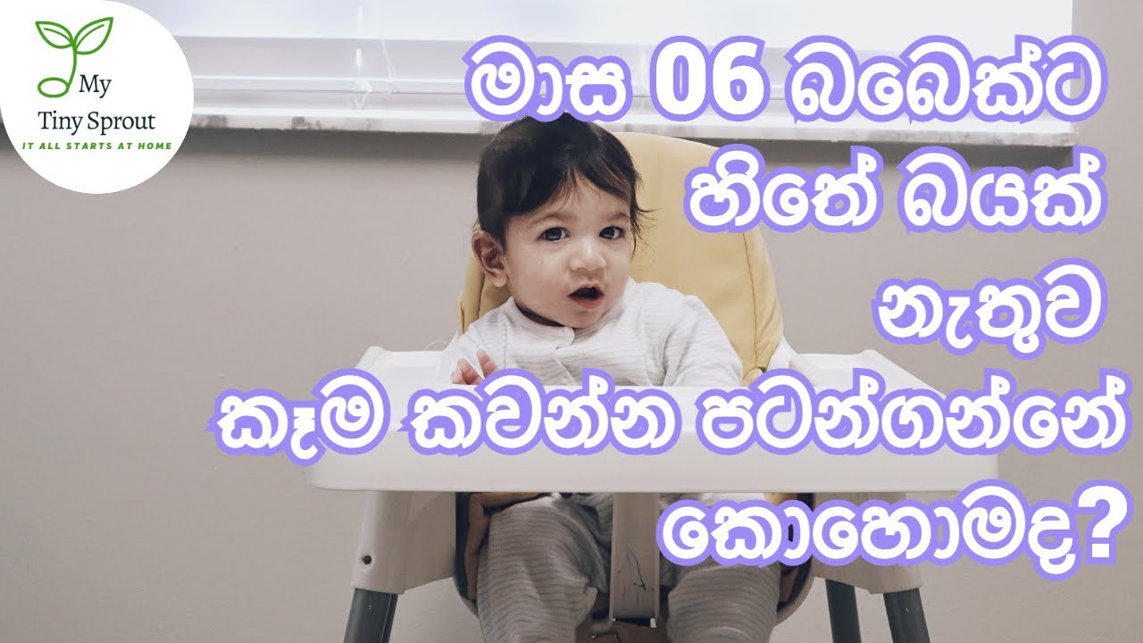 මාස 06 බබෙක්ට හිතේ බයක් නැතුව කෑම කවන්න පටන්ගන්නේ කොහොමද? Baby's First Solid Food Experience