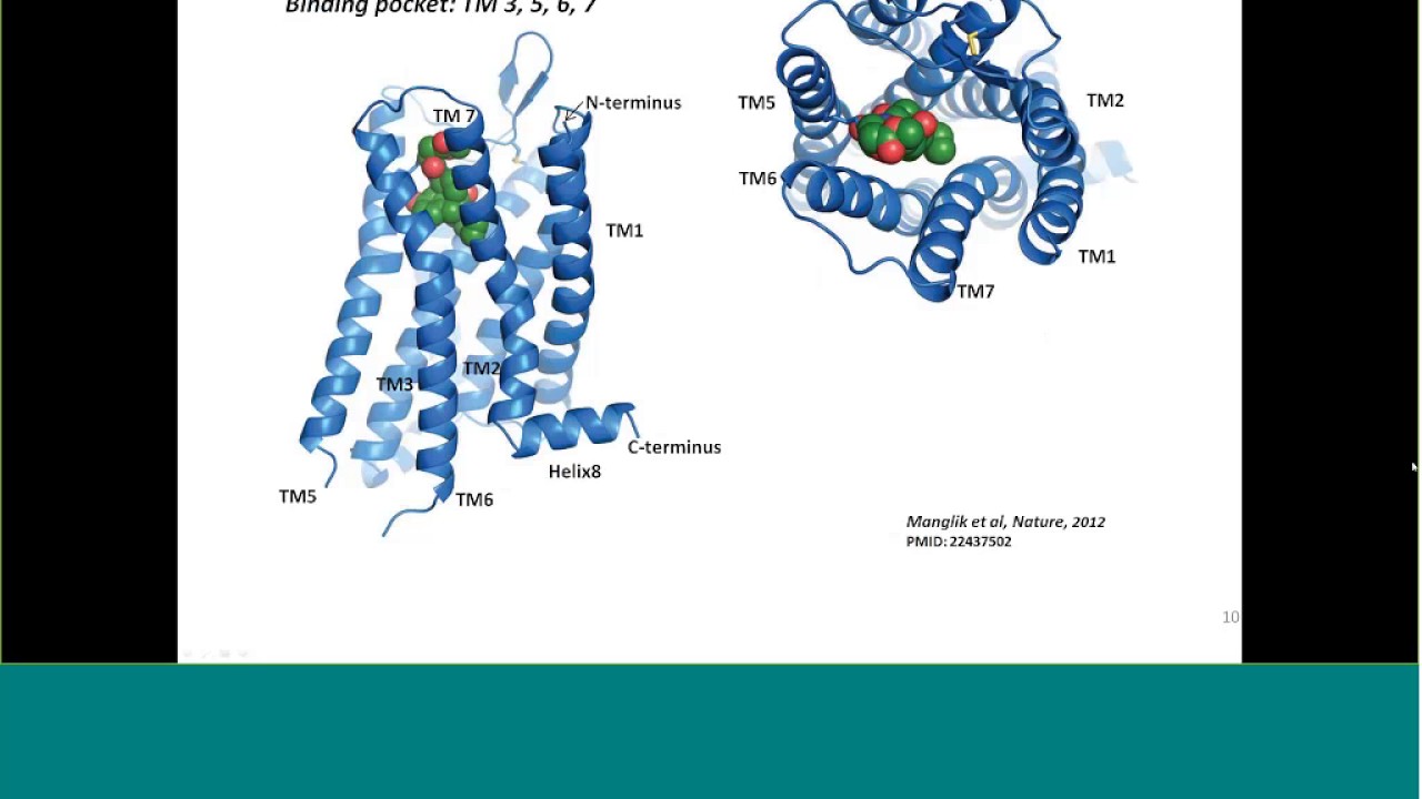 Mu Opioid Receptor Splicing and Signaling: Another Dimension of GPCR Function
