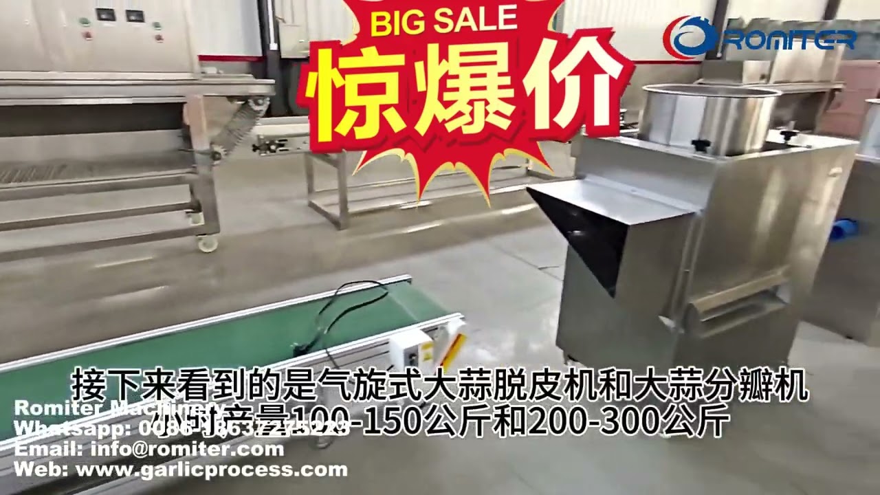 Automatic Garlic Peeling Machine for Sale