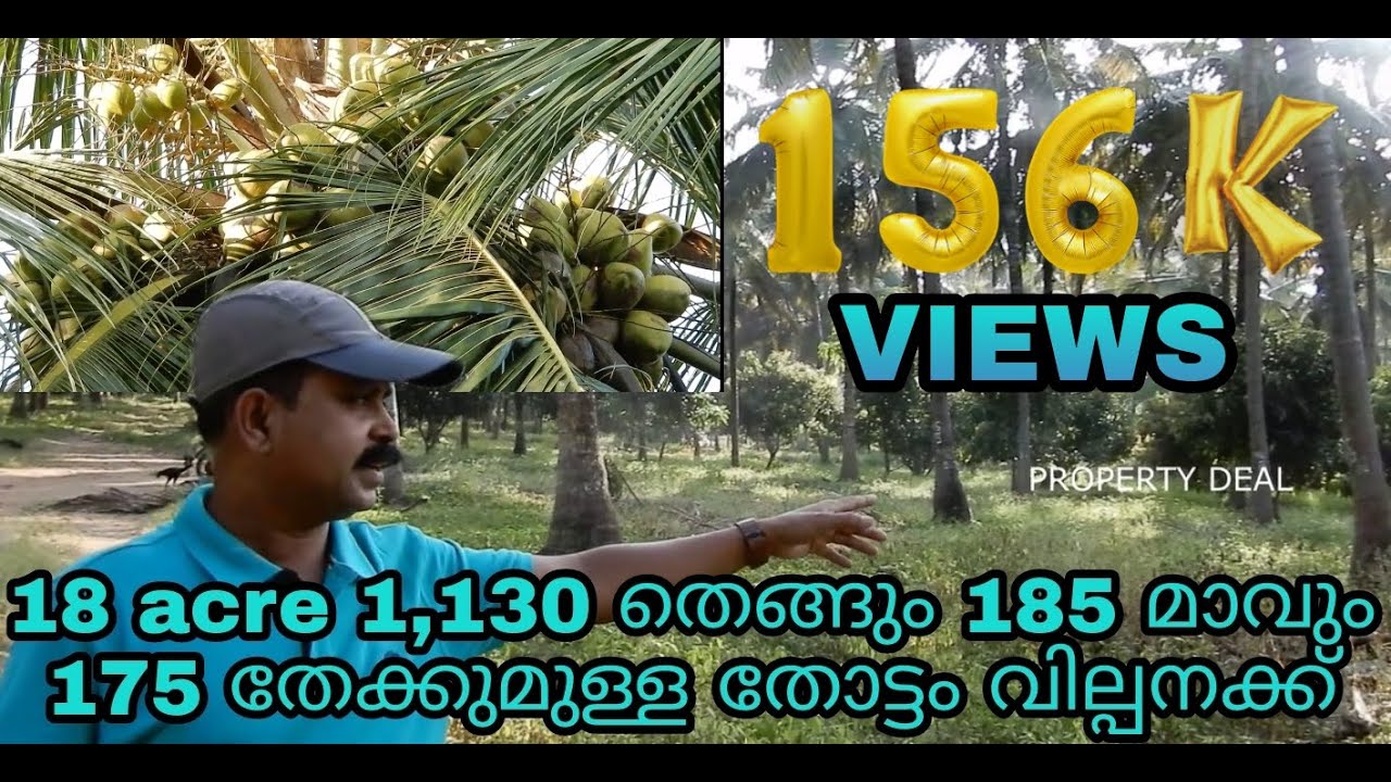 18  ഏക്കറിൽ തെങ്ങും മാവും തേക്കും നിറഞ്ഞു നിൽക്കുന്ന തോട്ടം വില്പനയ്ക് #coconut# mango(SOLD OUT)