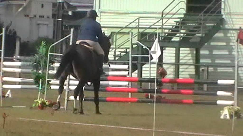 Double J Escape - Taihape Show Jumping