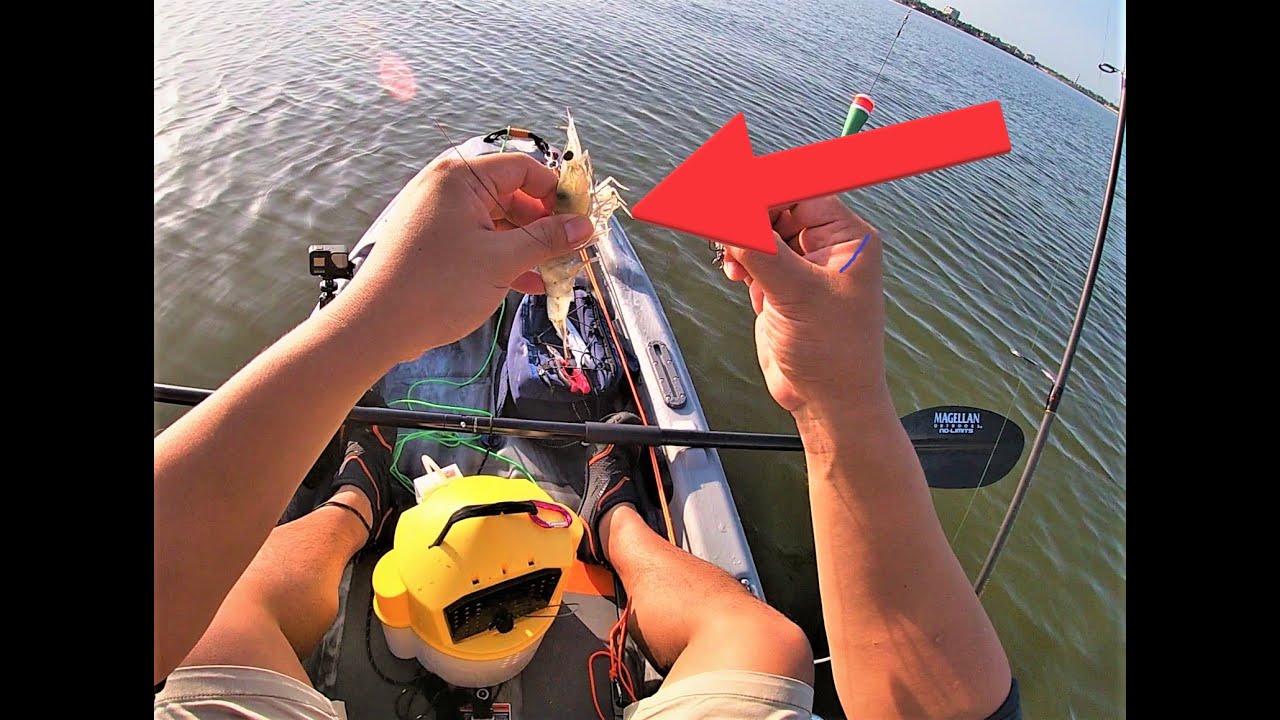 Fishing Clear Lake, TX (Pelican Catch 100 Kayak)