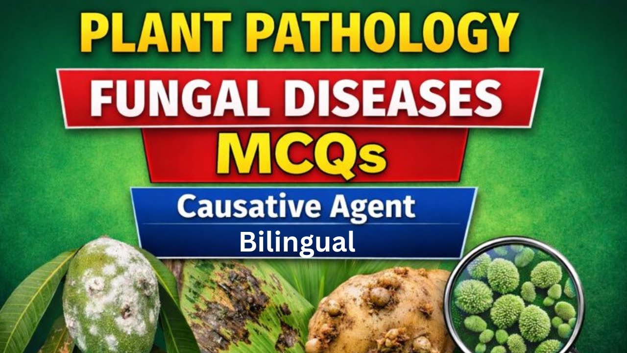Plant Pathology MCQs Tamil & English | Causative agent of Fungal Disease | UG TRB Botany 2026