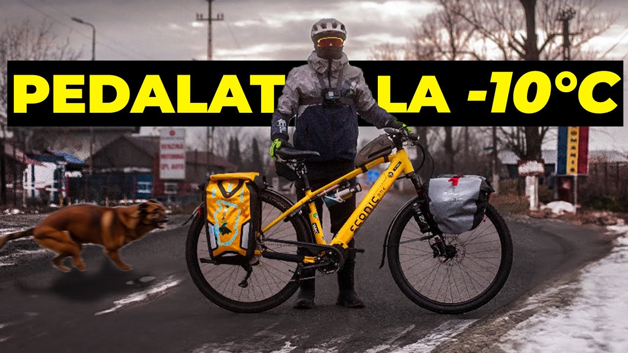 Alergat de caini, cod portocaliu si pedalat la -10°C - PE BICICLETA PANA LA MARE