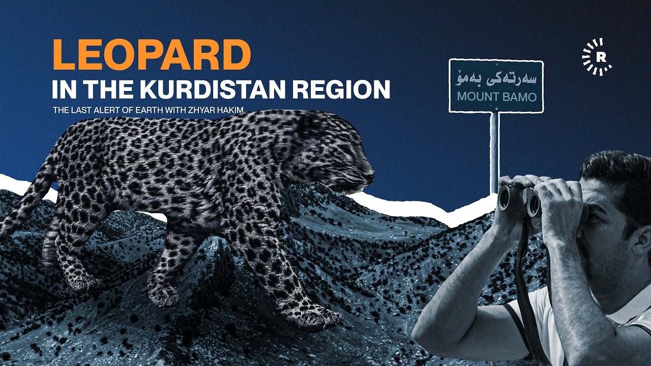 Leopard in the Kurdistan Region | The Last Alert of Earth with Zhyar Hakim