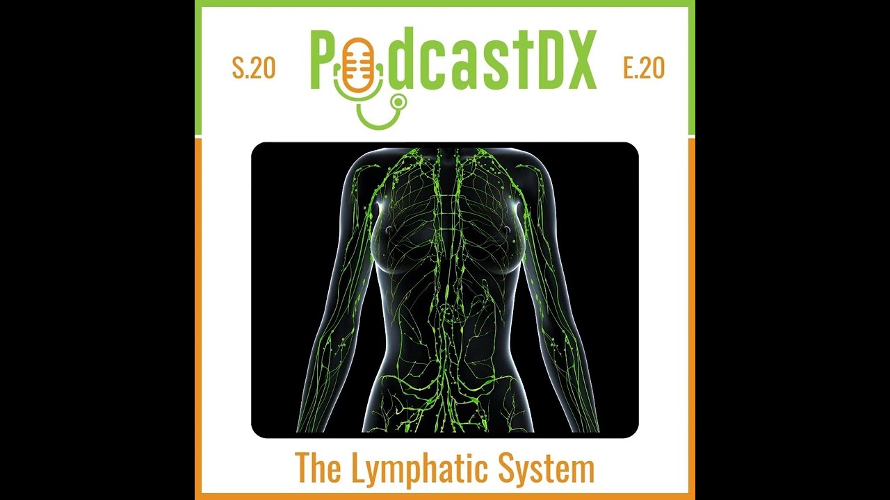 The Lymphatic System