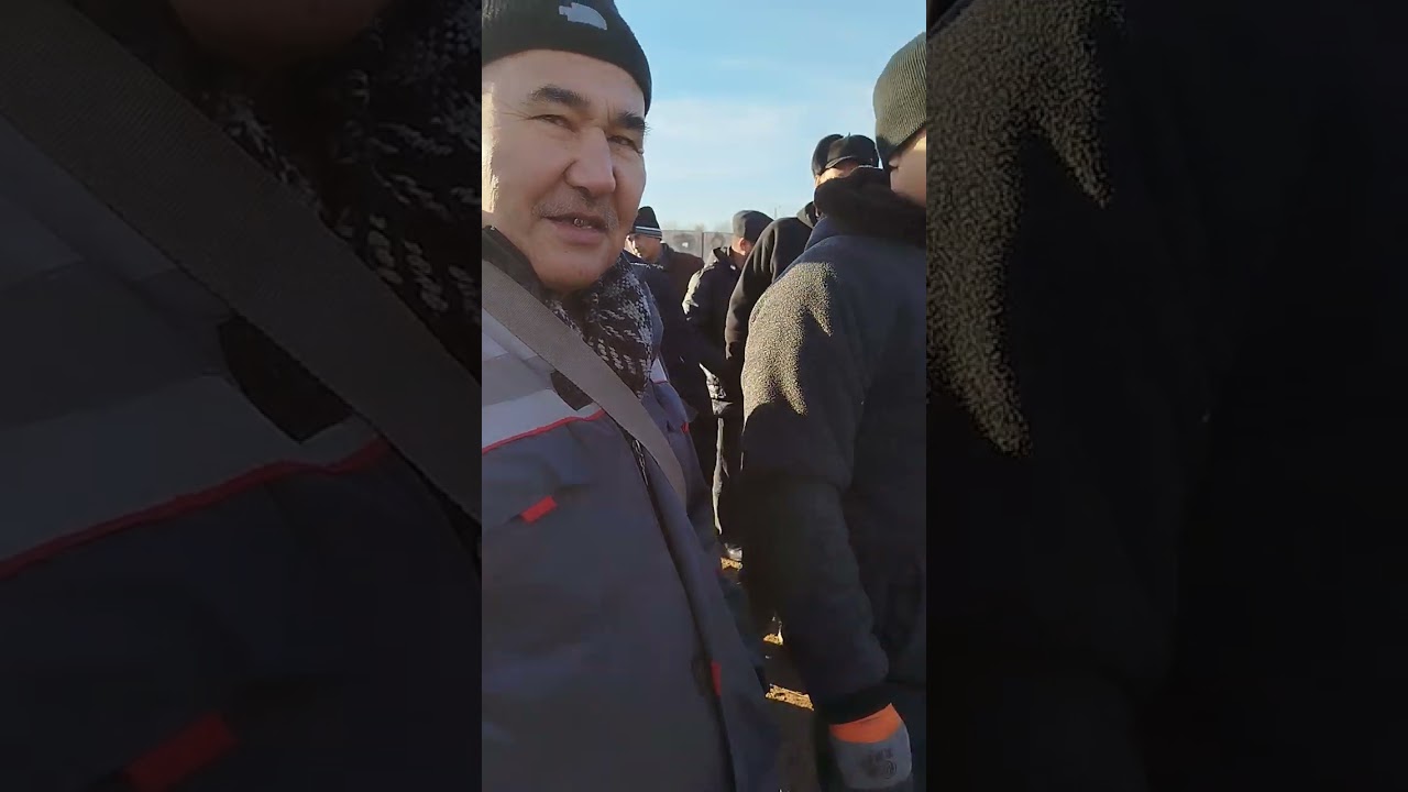 22 февраля 2026 г.шоманай мал базары
