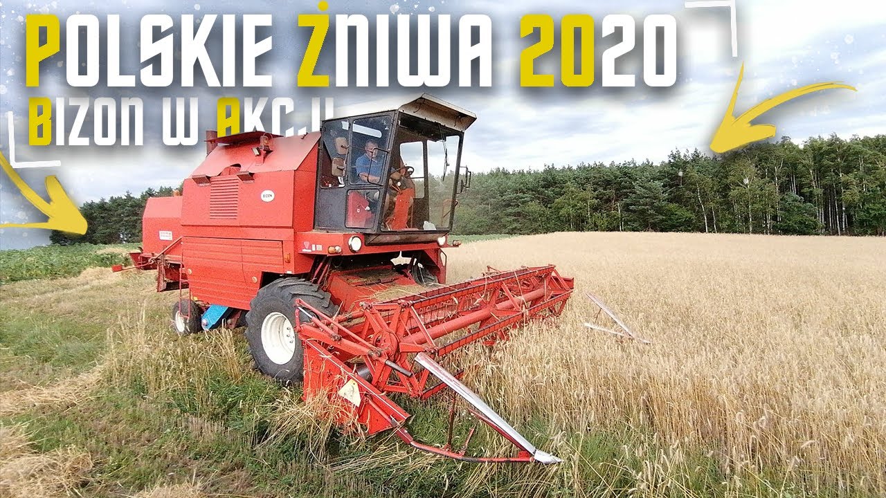 🔥Żniwa 2O20 PORA ZACZĄĆ!🔥 Bizon Z058 Rekord|URSUS C360|LAMBORGHINI