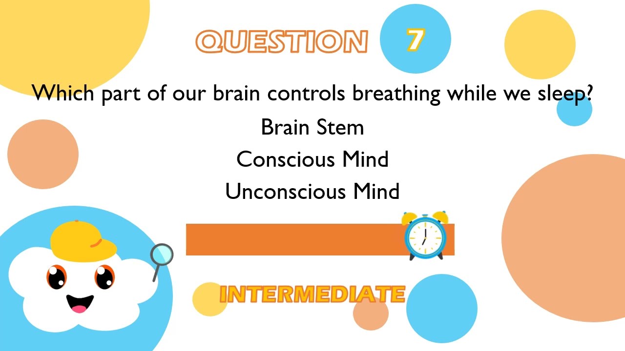 Ultimate Human Body Quiz | Brain Five Senses Non Traditional Human Body Senses