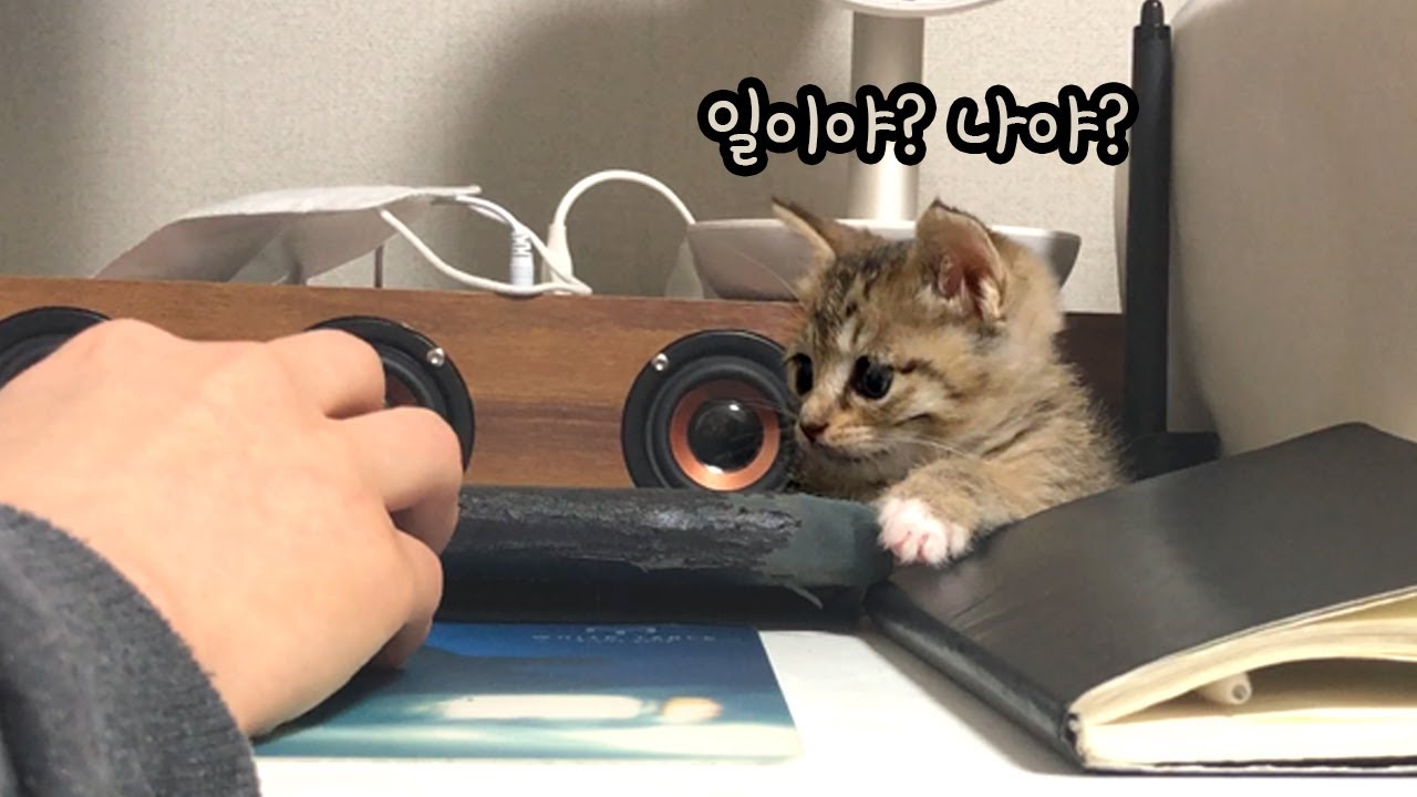 일이야 나야 2