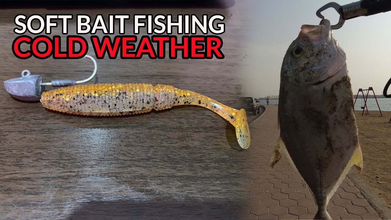 EP62 - صيد السمك كاستنج جدة SOFT BAIT FISHING : Effective in COLD Weather | Fishing in Jeddah