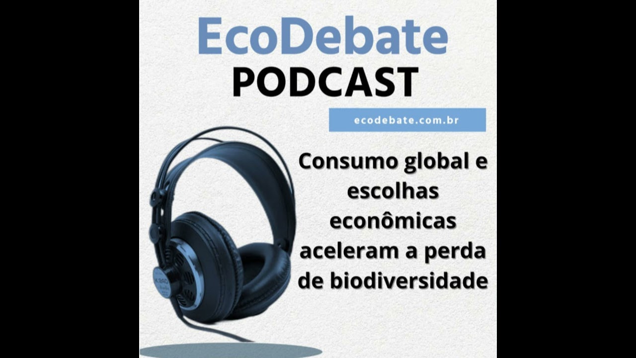 Biodiversidade em colapso