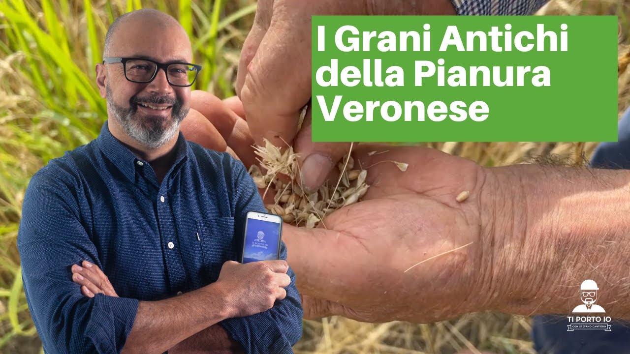 I Grani Antichi della Pianura Veronese