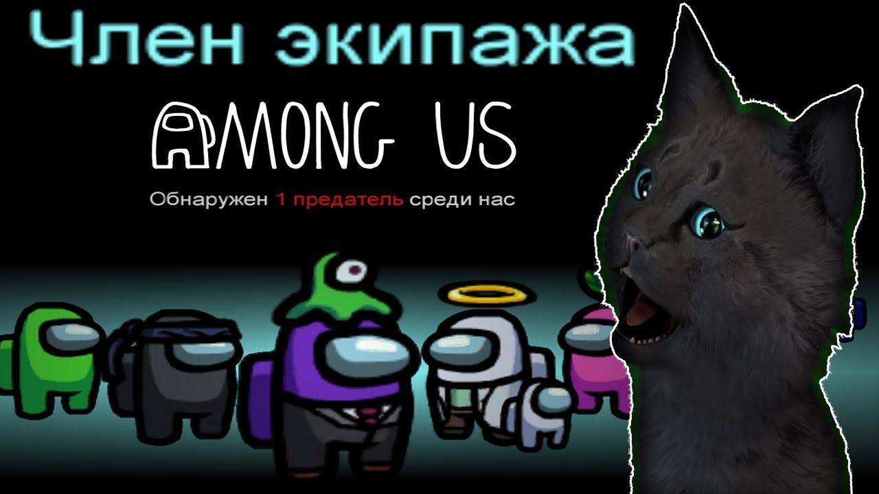 ГОВОРЯЩИЙ СУПЕР КОТ 🐱 САМЫЙ ЛУЧШИЙ СУПЕР КОТ В МИРЕ КОСМОСА 🐱 Among Us  ( Амонг Ас )
