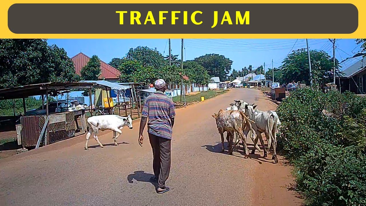 WALKING Tour in Jisonaayili Neighborhood in Tamale, Ghana