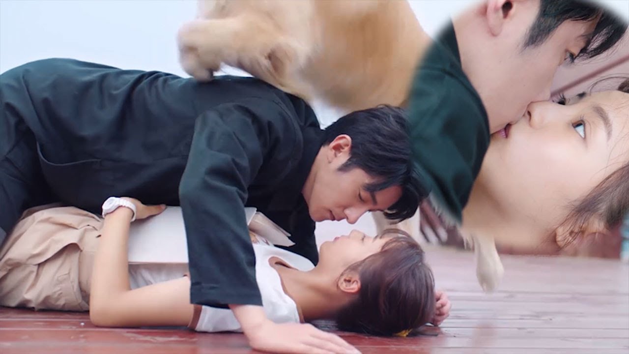 萌犬牵线！灰姑娘意外把初吻献给了霸总，从此人生开挂【好想和你在一起 Be with You1-1】