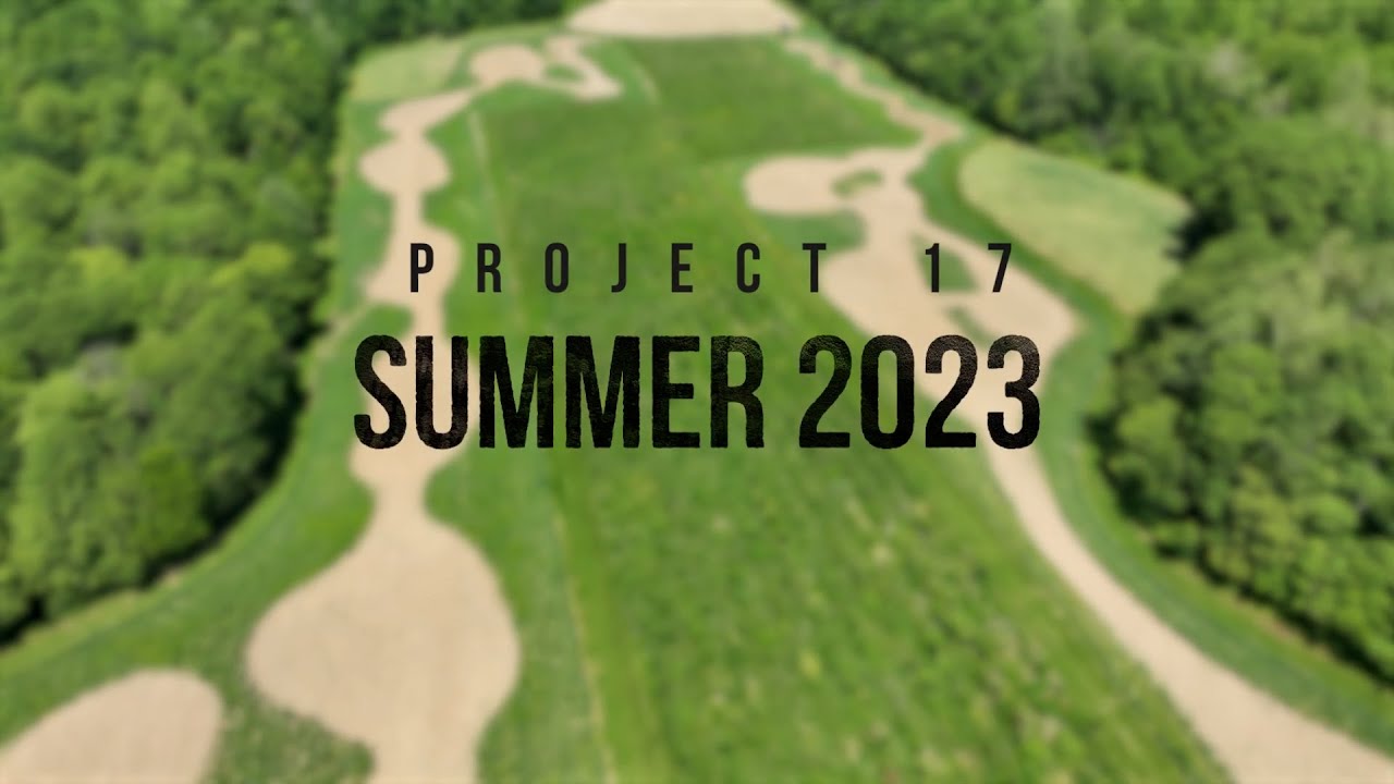 Project 17 Test Strip Update - The Management Advantage