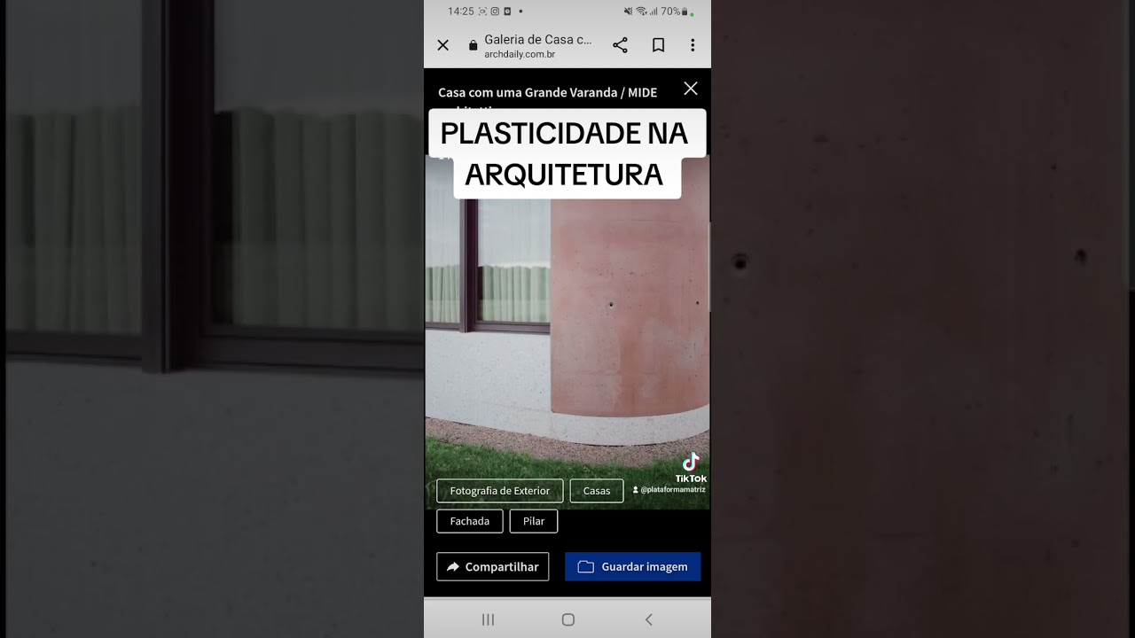 PLASTICIDADE NA ARQUITETURA