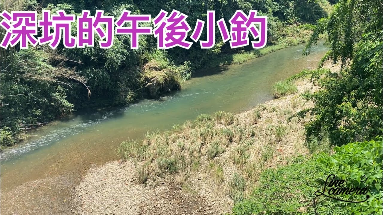 Creek fishing in Taiwan 106乙下的景美溪底下都是魚,來太晚了不然....