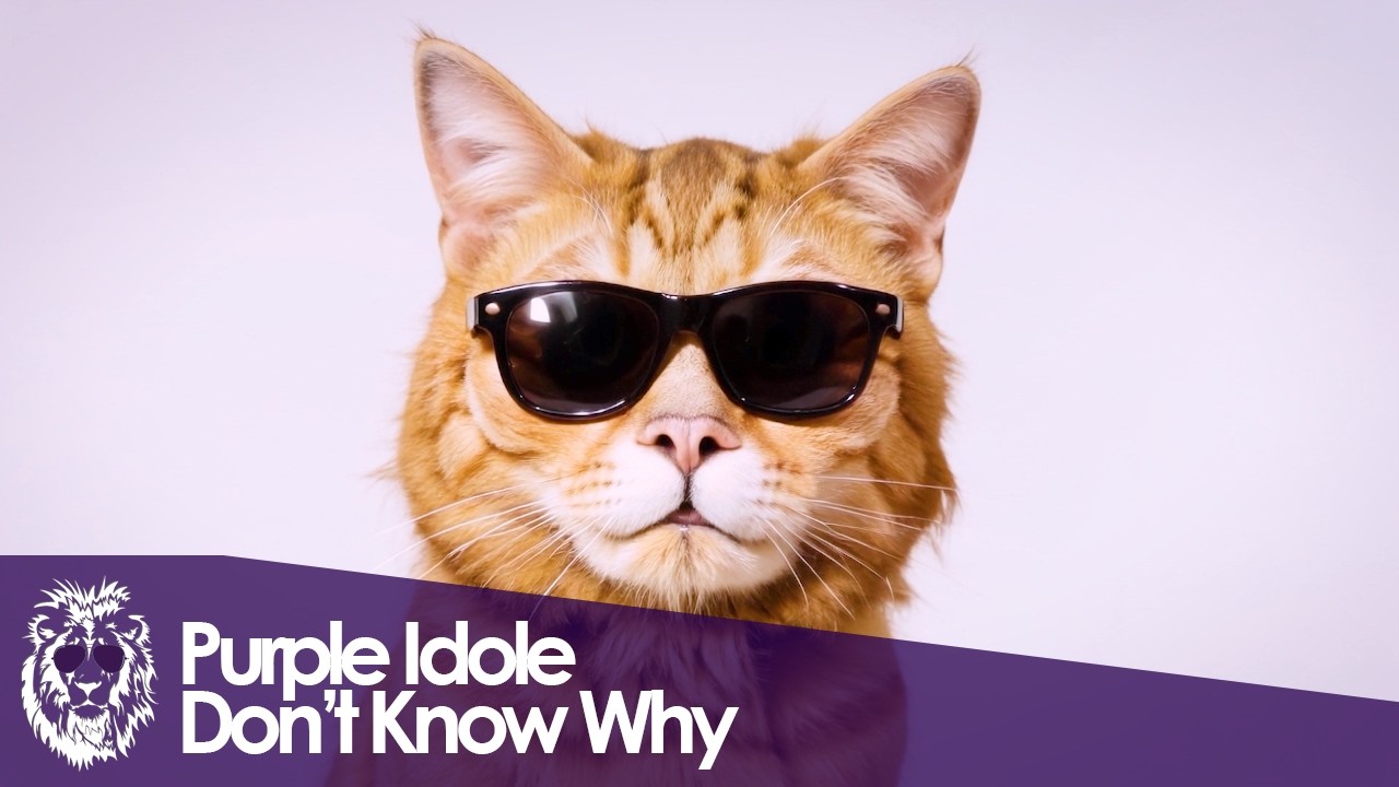 Purple Idole - Don't Know Why