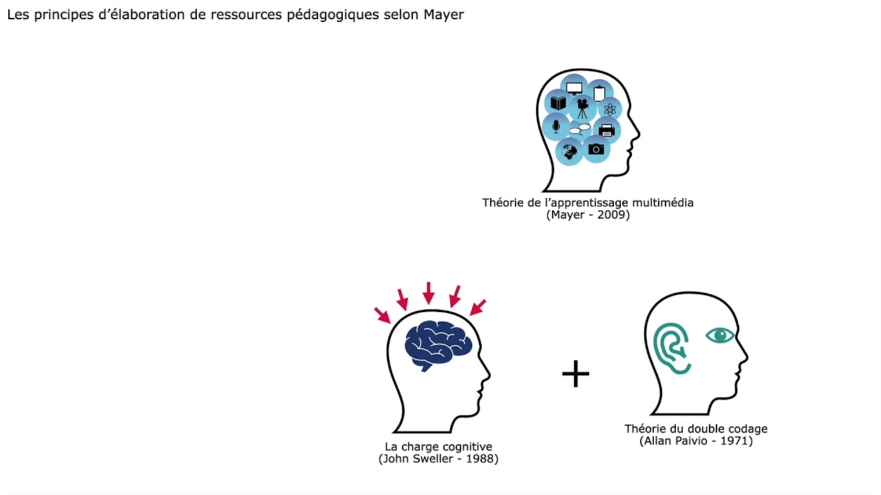 Les principes d'élaboration de ressources pédagogiques selon Mayer