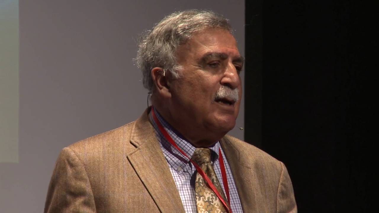 The Meaning in Our Job | Asghar Rastegar | TEDxTUMS