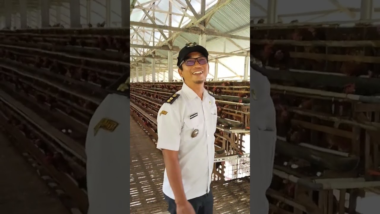 Belajar dan belajar tanpa belajar modar ga bisa madang.