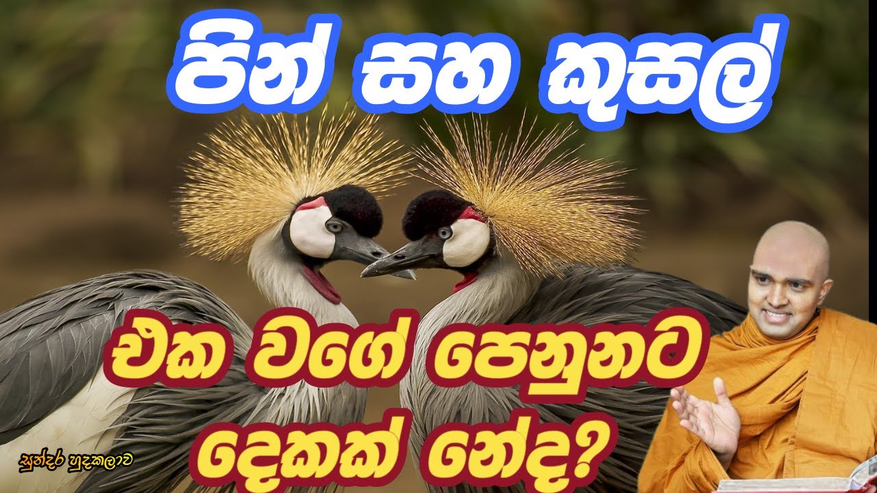 පින් සහ කුසල් කියන්නේ එකක් කියලා සිතුවට දෙකක් නේද? කොහොමද එකිනෙකට වෙනස් කියලා සොයාගන්නේ.