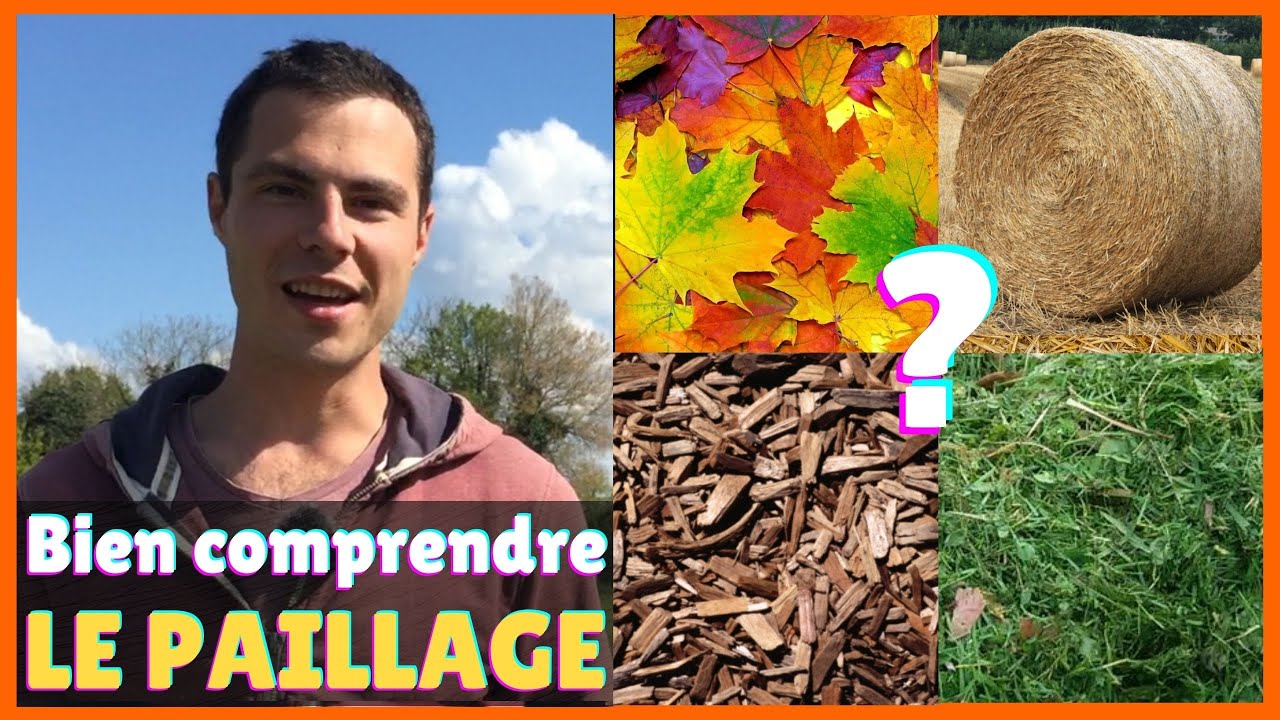 PAILLER le JARDIN ✅ CARBONE / AZOTE 👌 Rôles du paillage pour Arbres Fruitiers, Potager, Cultures