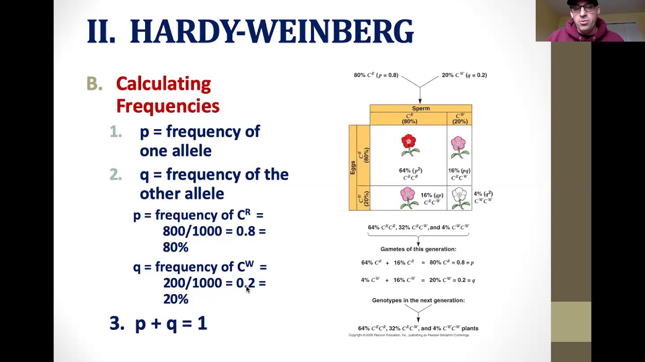 Hardy Weinberg Principle Lecture