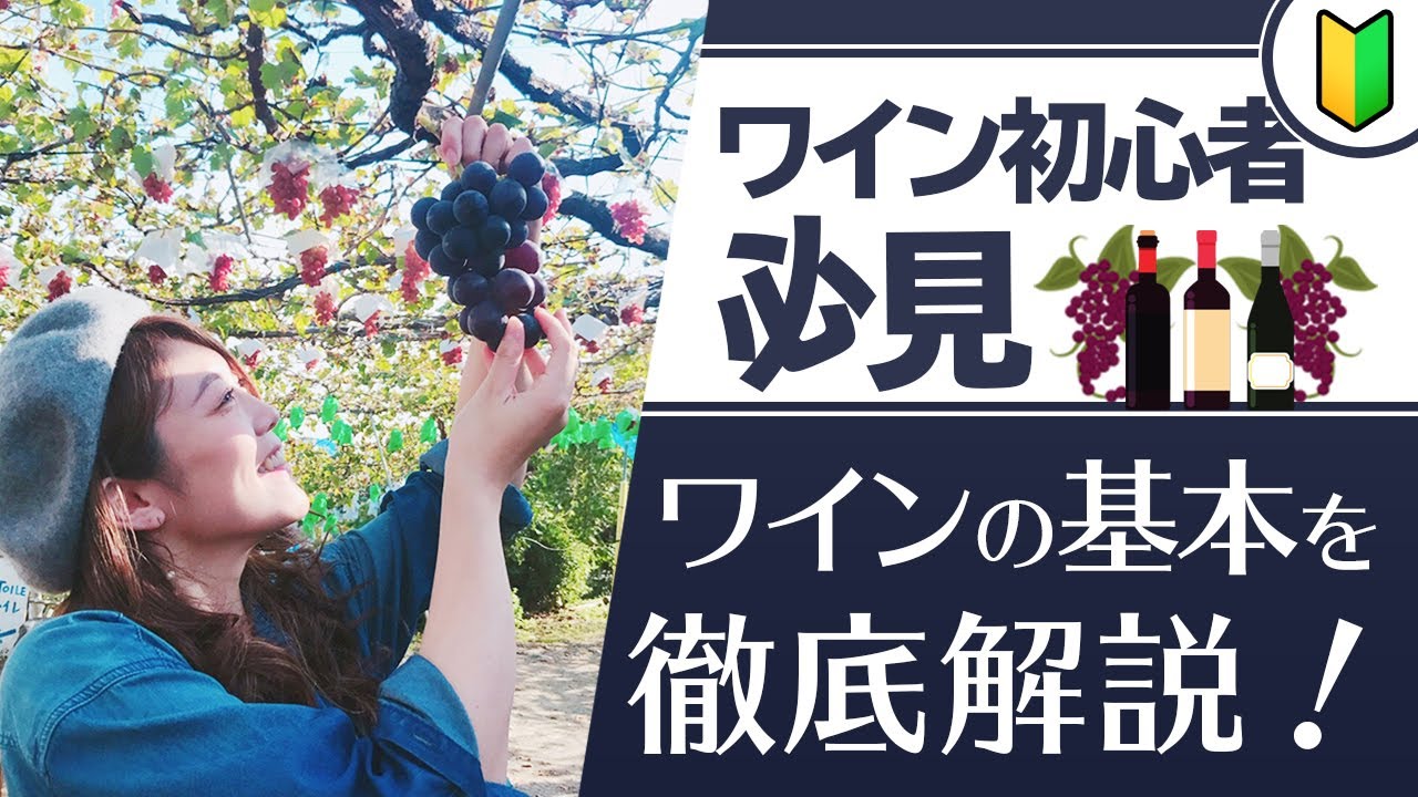 ワイン初心者必見！あまり聞けないワインのあれこれをソムリエが徹底解説！