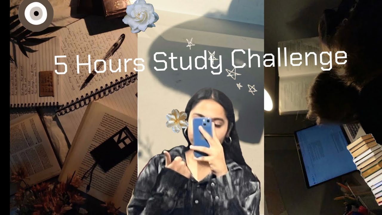 5 Hours Study Challenge | Late Night Study Vlog | Manreet Dhawan