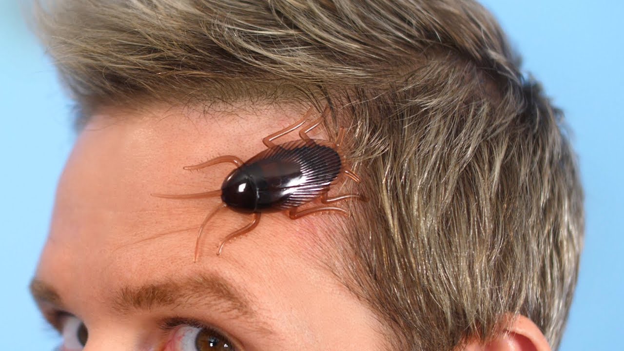 Roach Surprise In Hair!