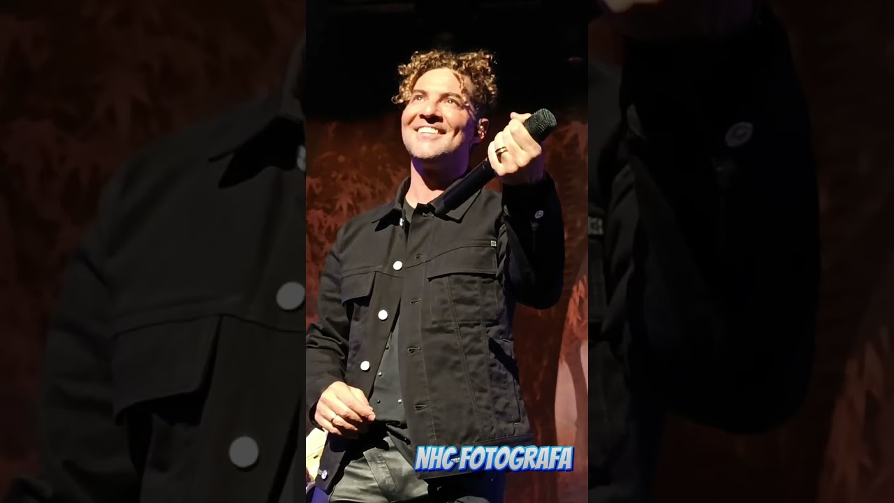 Básico 40 David Bisbal