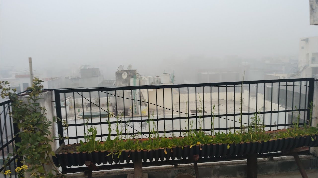 2 February 2026 गुड मॉर्निंग सुबह सुबह छाया कोहरा