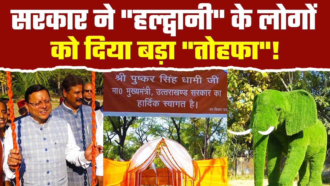 हल्द्वानी सिटी फॉरेस्ट अब आपको पिकनिक मनाने नहीं जाना होगा बाहर |नगर वन | City Forest in Haldwani