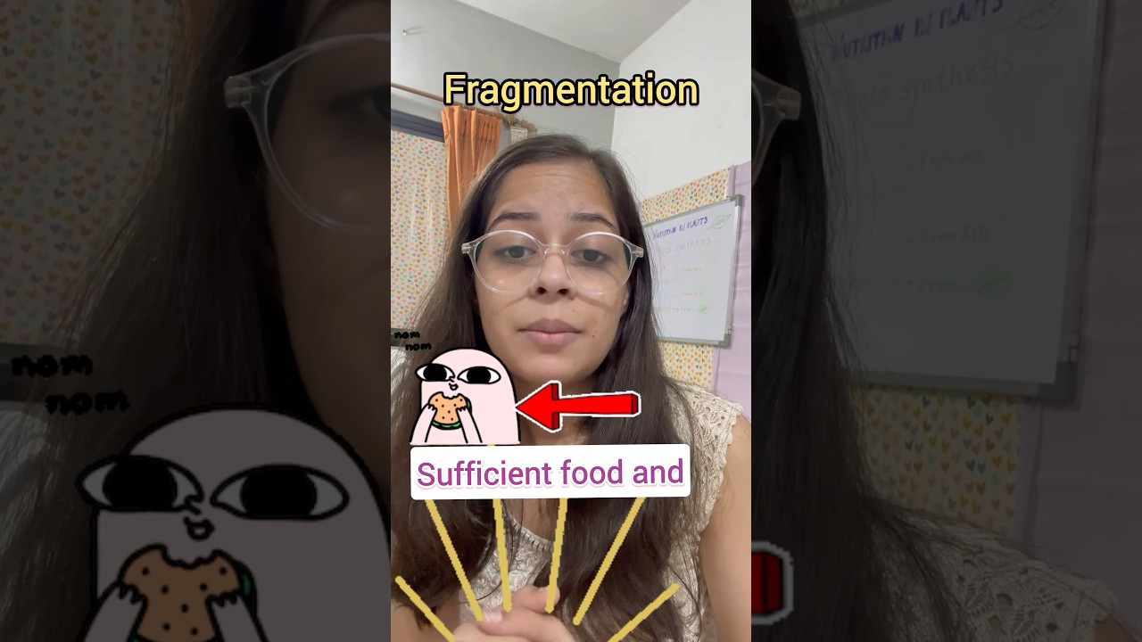 🌱 Fragmentation: A Simple Reproduction Method | Class 7 Science NCERT