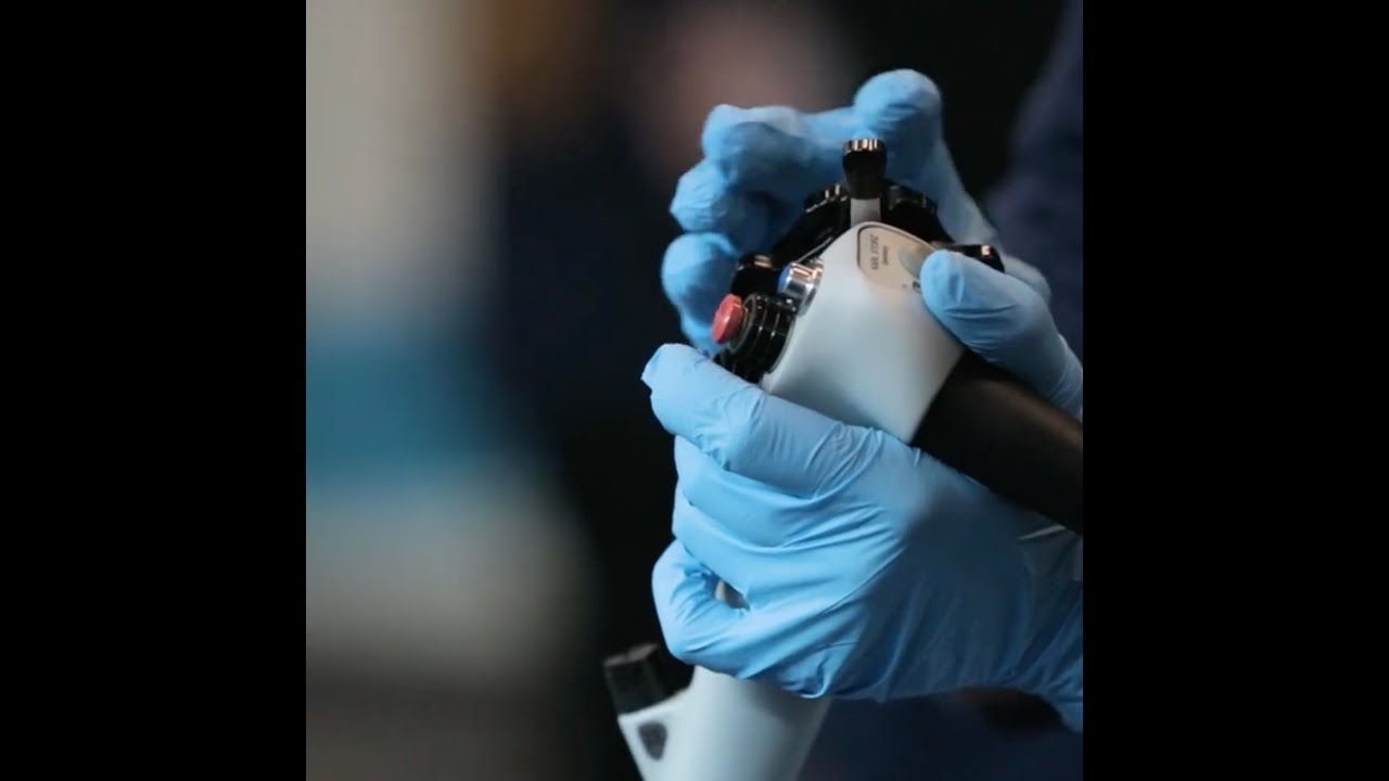 Clinical Studies at BluePearl: Leading the Way in Advancing Veterinary Medicine