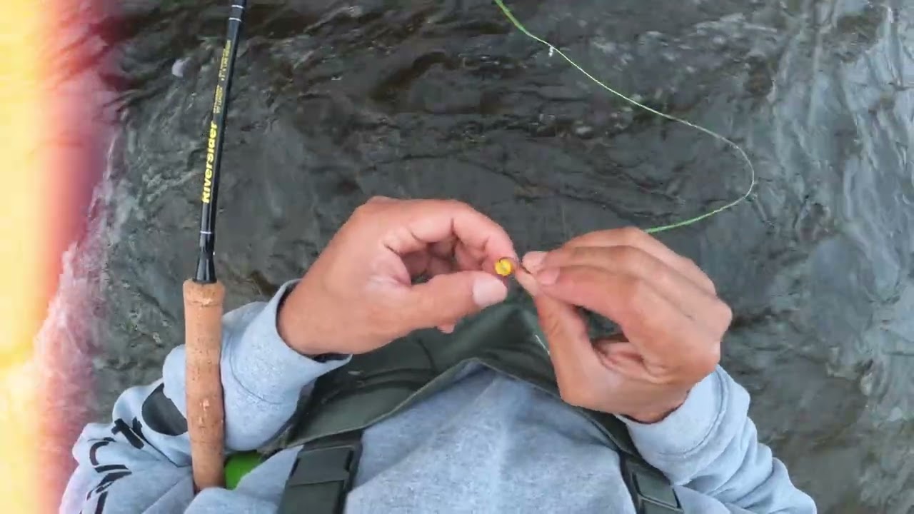 SALMON FISHING PULASKI-NY