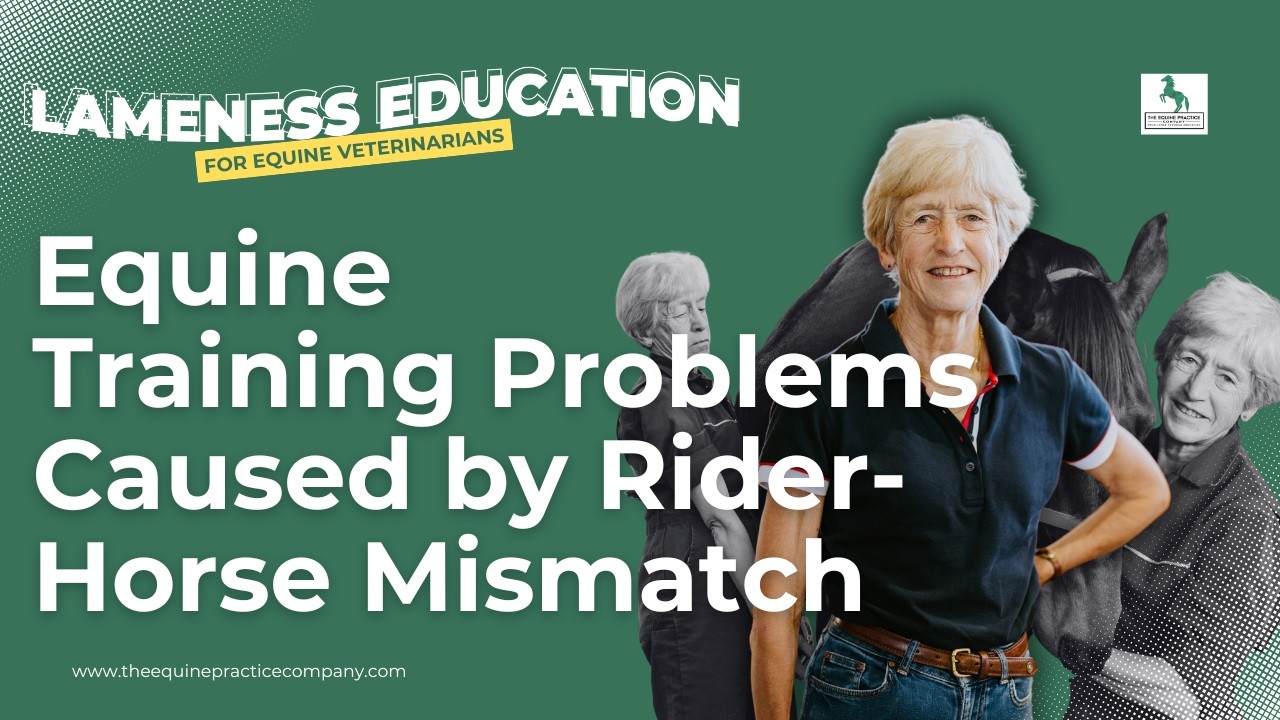 Equine Training Problems Caused by Rider-Horse Mismatch