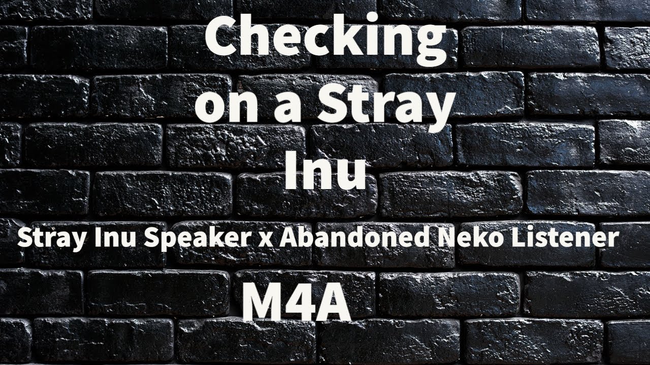 M4A Checking on a Stray Inu [injured inu speaker] [abandoned neko listener]