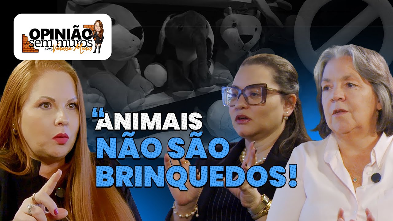 Animais em Condomínios: direitos, limites e convivência com pets | Opinião sem Muros