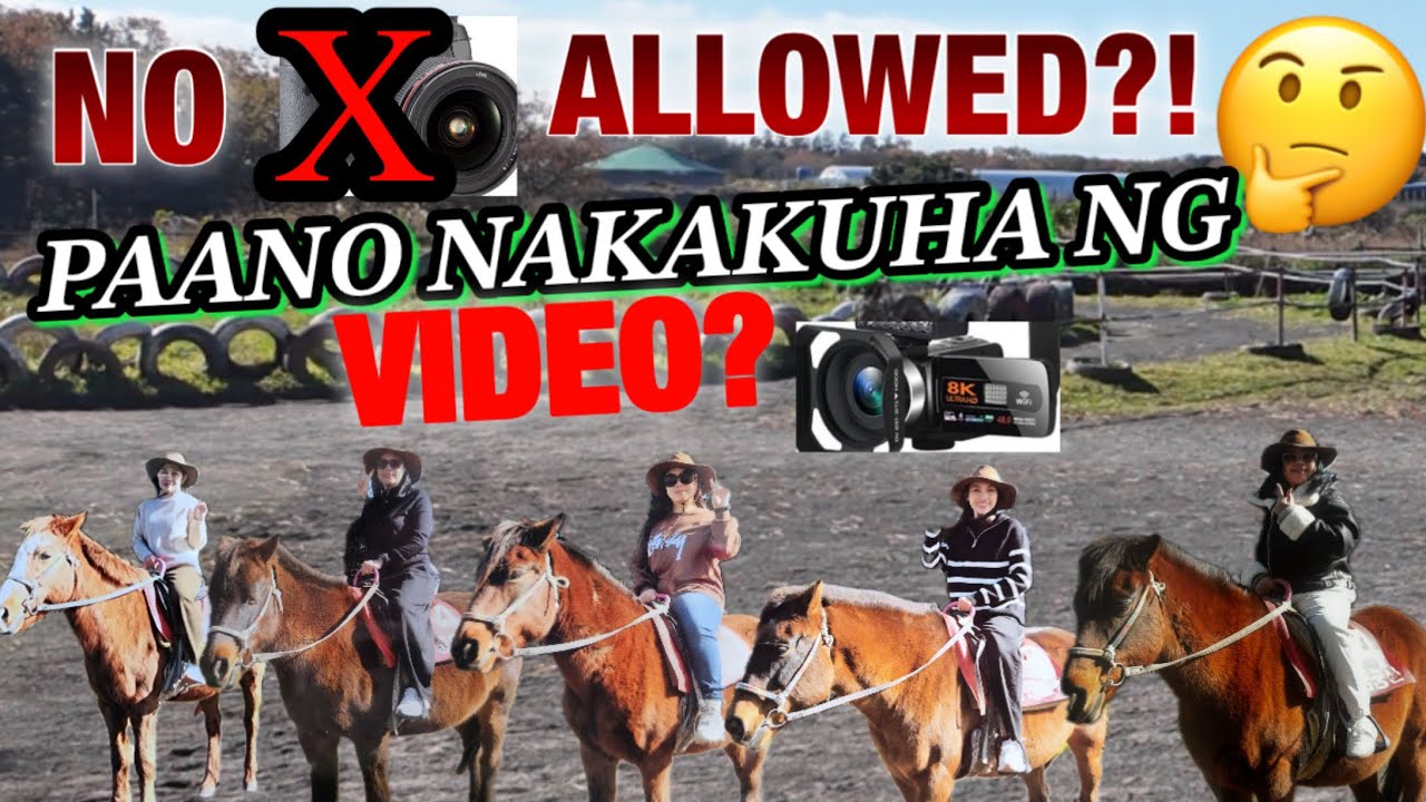 HORSE RIDING PARK IN JEJU/NO CAMERA NO PROBLEM/ HORSE RIDING ADVENTURES / 함안 다문화 센터 /