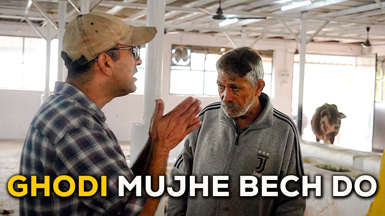 Iska dard kam karne ka yehi tareeka samajh aaya | Horse rescue story
