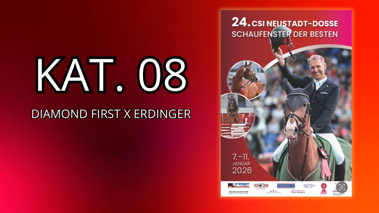 08 Diamond - First Erdinger - Schaufenster der Besten 2026 - Dressurhengste