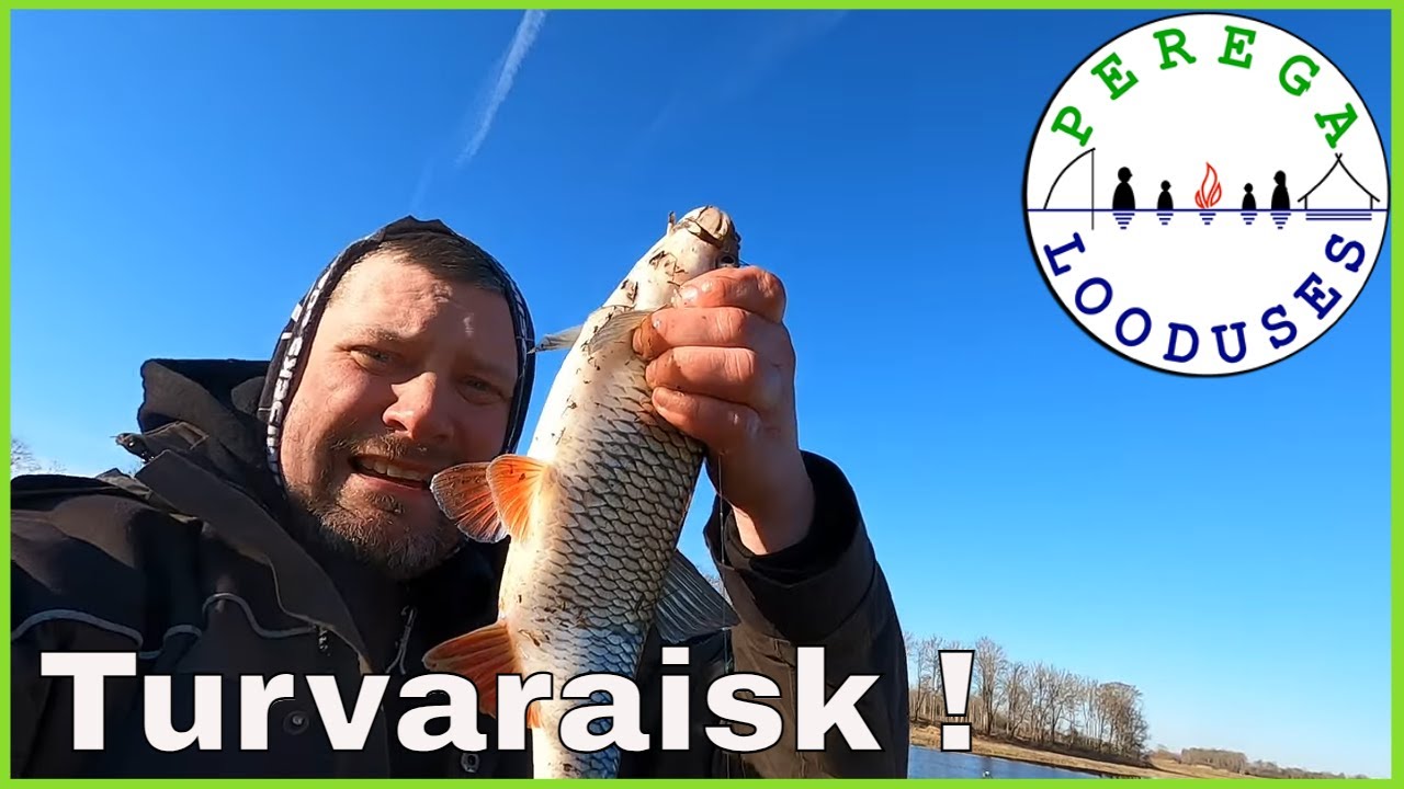 Vimmapüük Kasaril