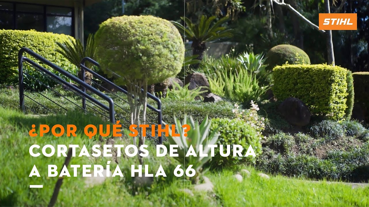Cortasetos de altura a batería HLA 66 | ¿Por qué elegir STIHL?